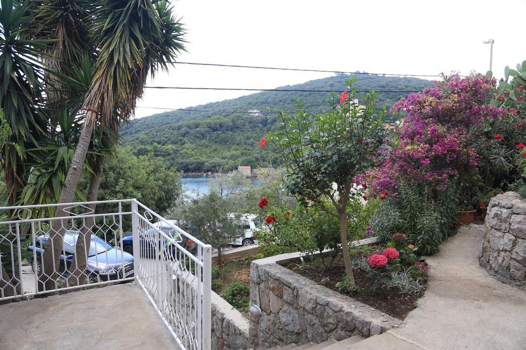 Apartments Antunovic Molunat Exterior foto